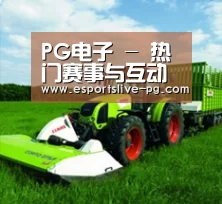 关于PG娱乐