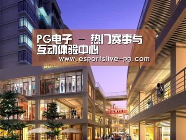 案例展示一(图1)