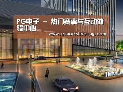 案例展示二