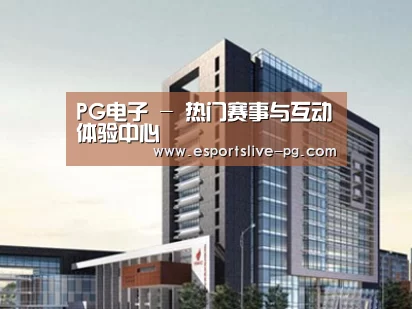 案例展示七