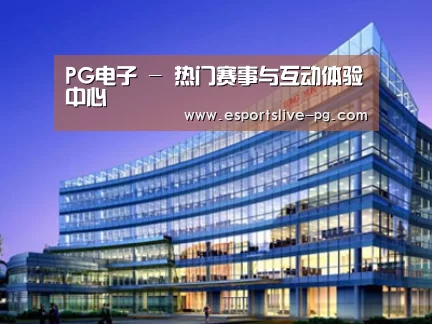案例展示五