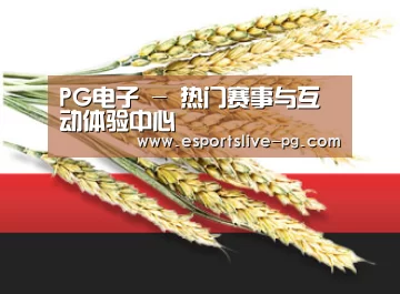 PG电子 - 热门赛事与互动体验中心