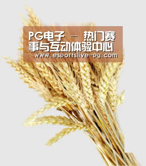PG电子 - 热门赛事与互动体验中心