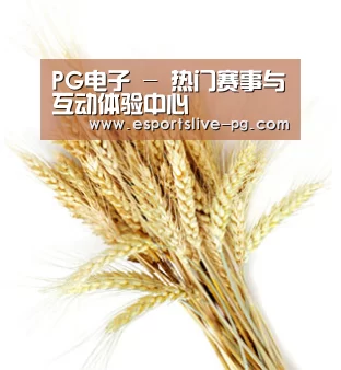 PG电子 - 热门赛事与互动体验中心
