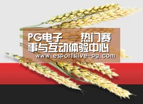 PG电子 - 热门赛事与互动体验中心
