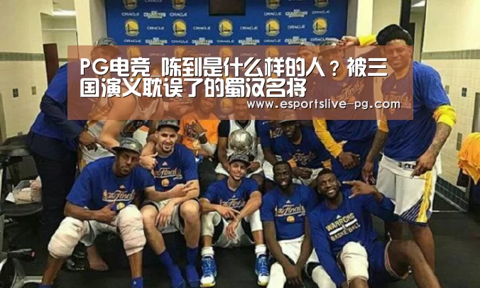 PG电竞_陈到是什么样的人?被三国演义耽误了的蜀汉名将(图1) PG娱乐