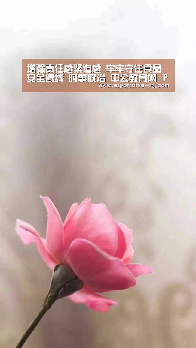 增强责任感紧迫感 牢牢守住食品安全底线_时事政治_中公教育网-PG登录(图4) PG电竞