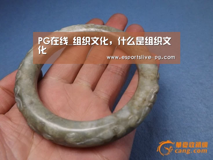 PG在线