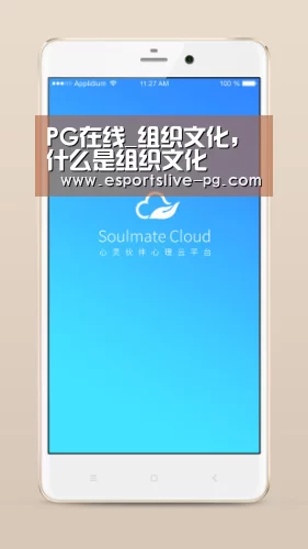 PG在线