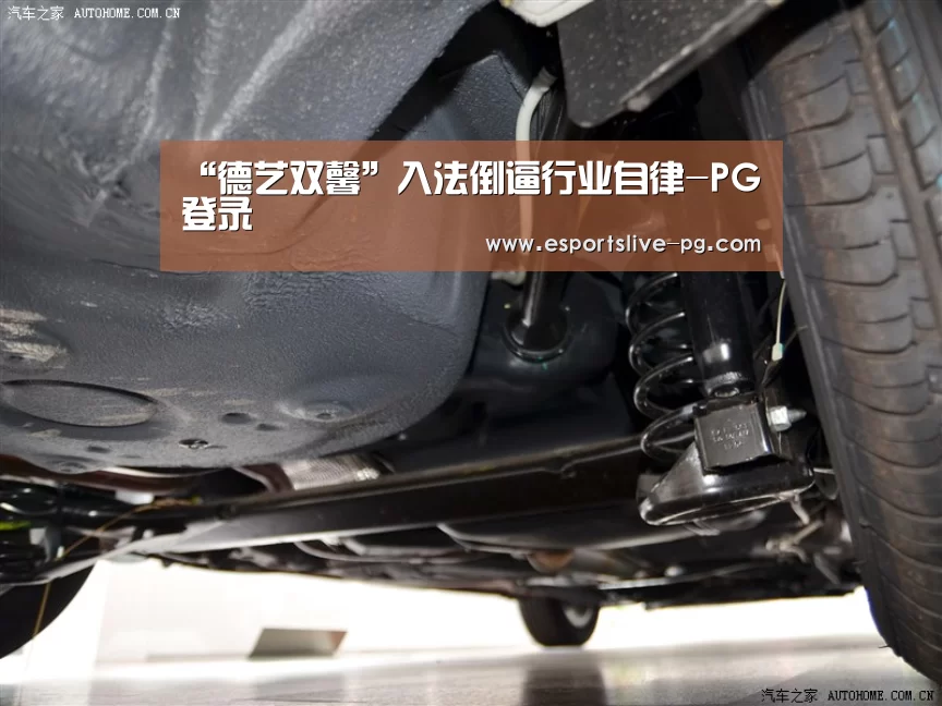 PG登录