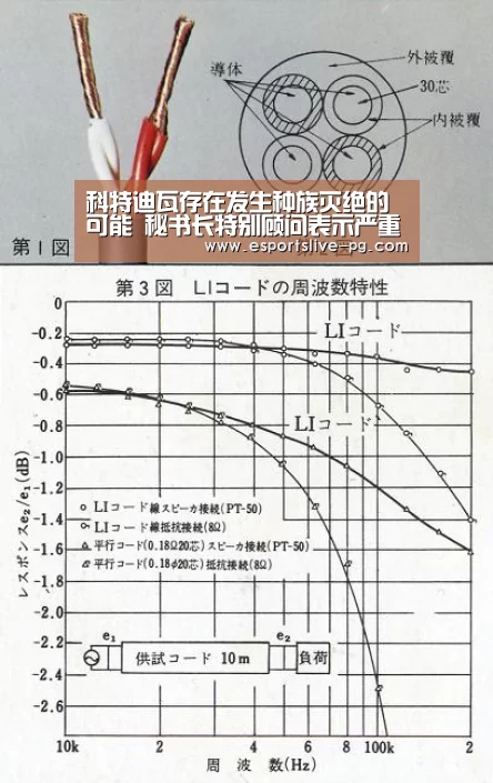 PG娱乐