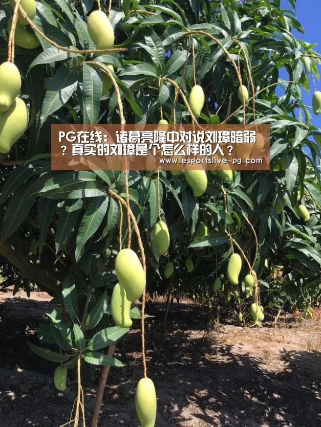 PG在线:诸葛亮隆中对说刘璋暗弱?真实的刘璋是个怎么样的人?(图4) PG登录