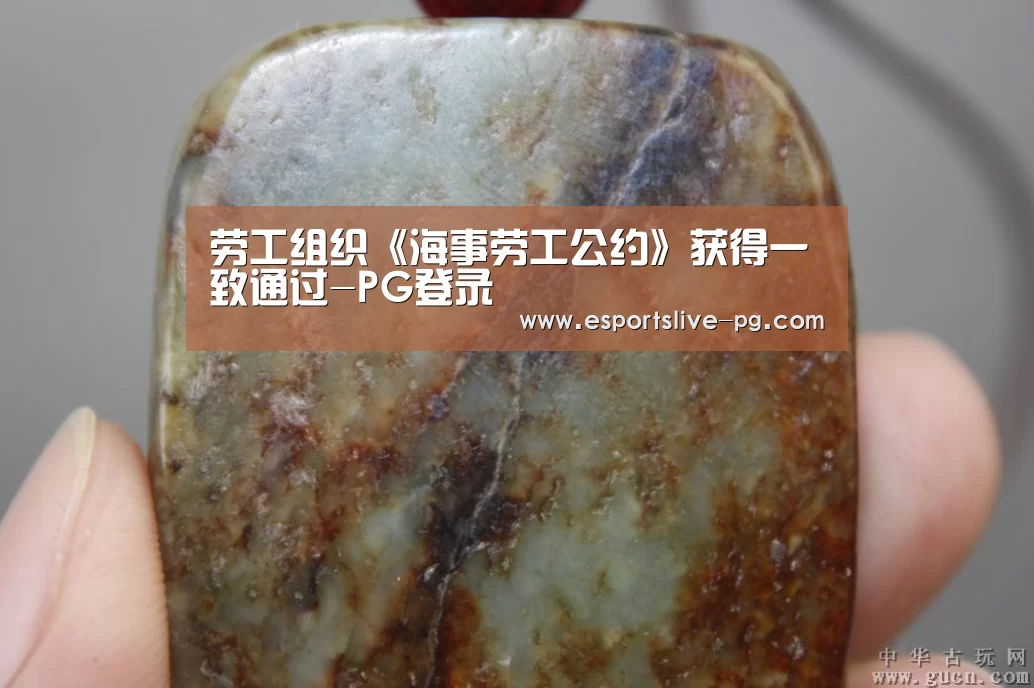 劳工组织《海事劳工公约》获得一致通过-PG登录(图2) PG在线