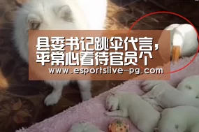 县委书记跳伞代言,平常心看待官员个性_时事政治_中公教育网‘PG在线’(图1) PG登录